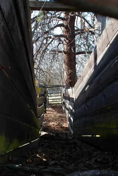 DSC_0019 (Large).JPG